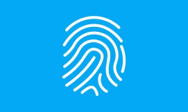 Marca e Identidad